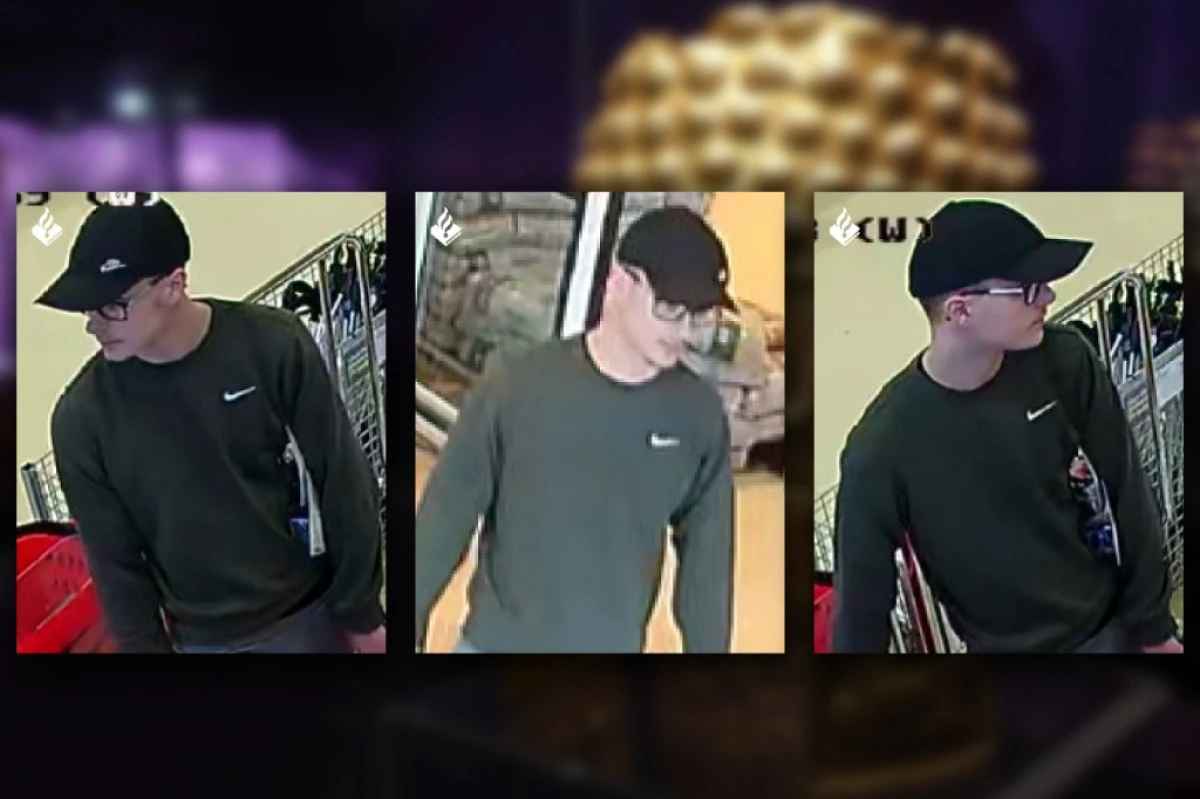 Autoritățile olandeze publică imagini cu un posibil suspect în furtul tezaurului dacic
