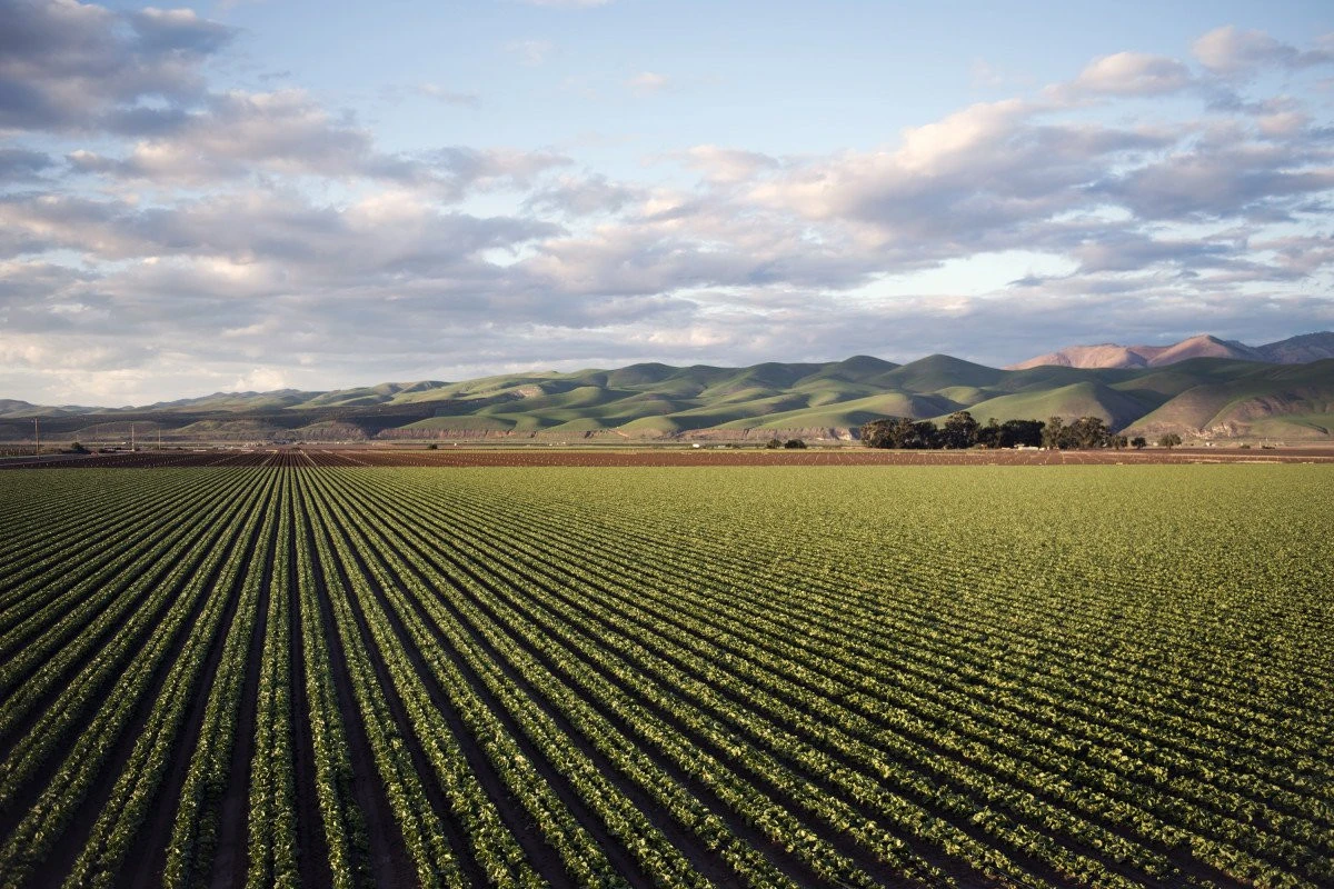 Avantajele folosirii dronelor în agricultură