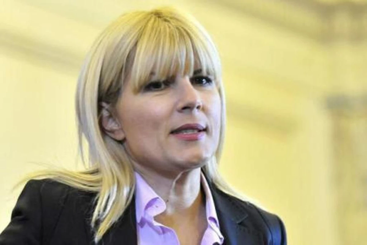 AVEREA ELENEI UDREA, VERIFICATA DE AGENTIA NATIONALA DE INTEGRITATE
