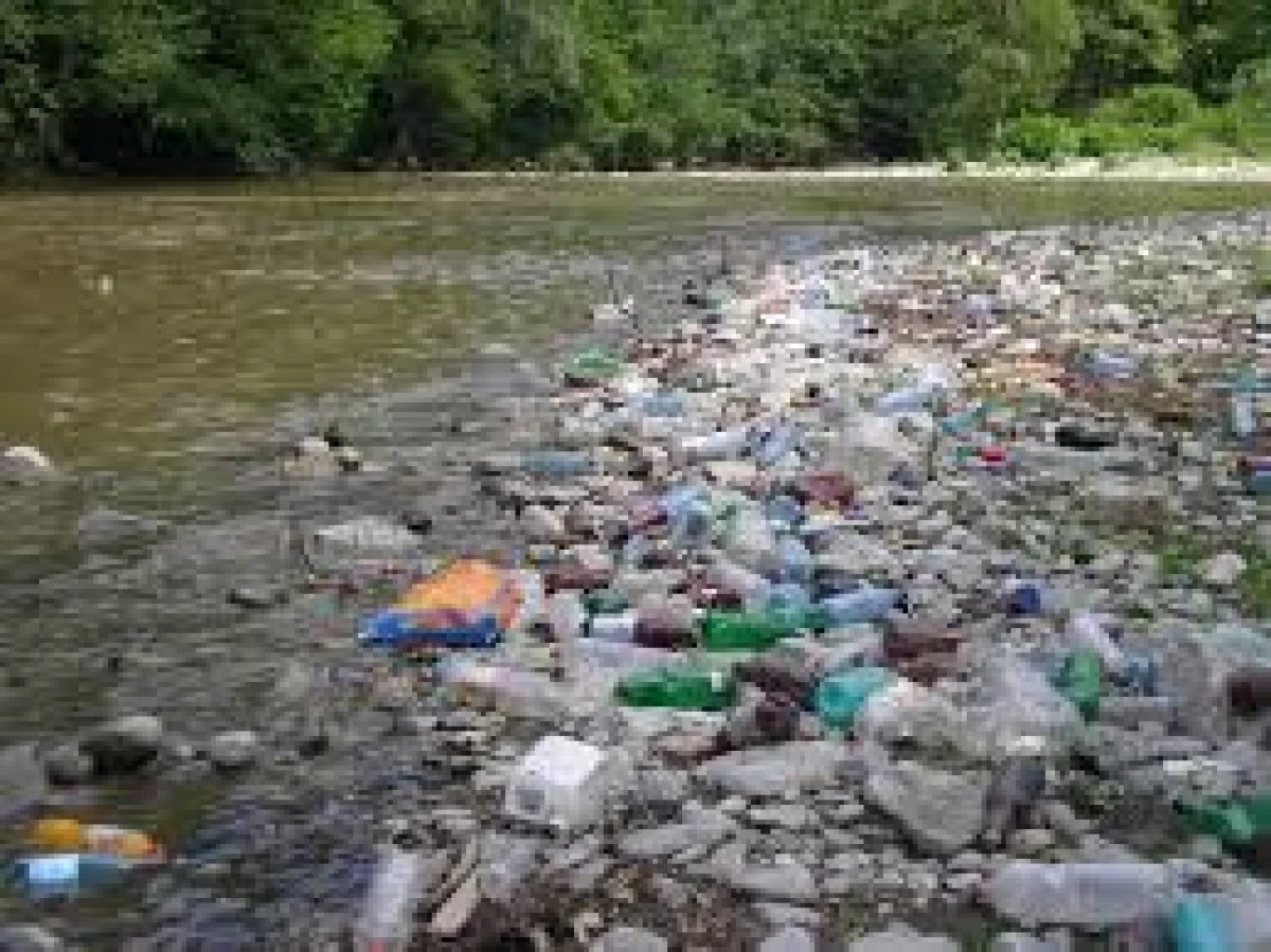 BACTERIA CARE SE HRANESTE CU PET-URI ESTE SOLUTIA PENTRU GESTIONAREA TONELOR DE PLASTIC PRODUS ANUAL LA NIVEL MONDIL
