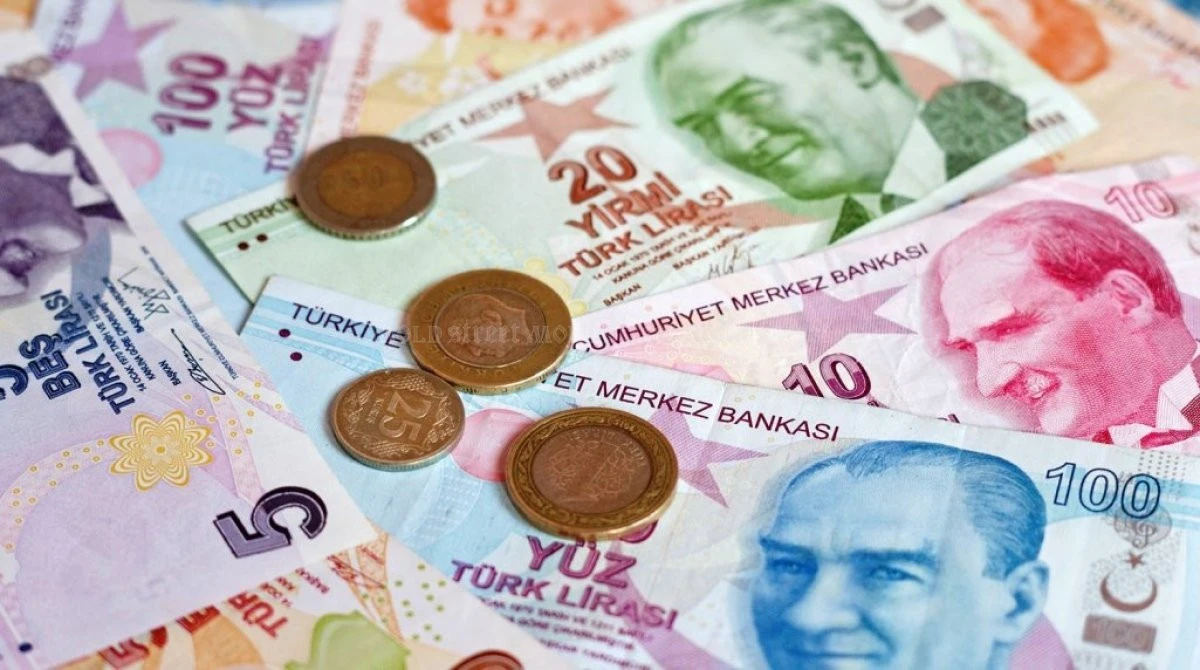 Banca Turciei a majorat prognoza de inflaţie la 75%