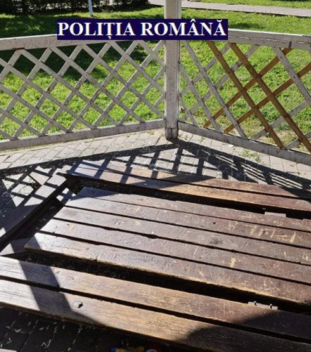 Bărbat de 28 de ani, și-a revărsat nervii pe parcul din Sântana