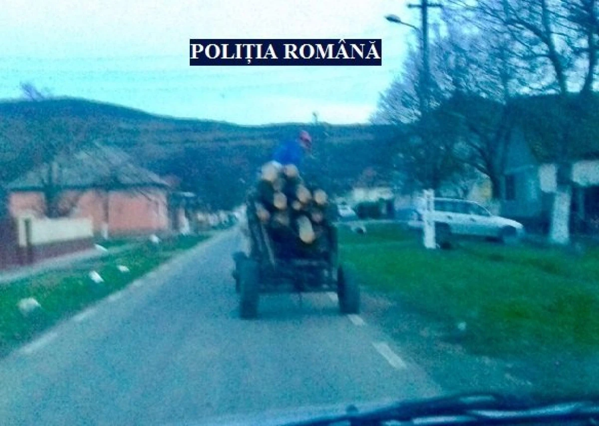 Bărbat din Cuvin, prins transportând ilegal lemne la Ghioroc