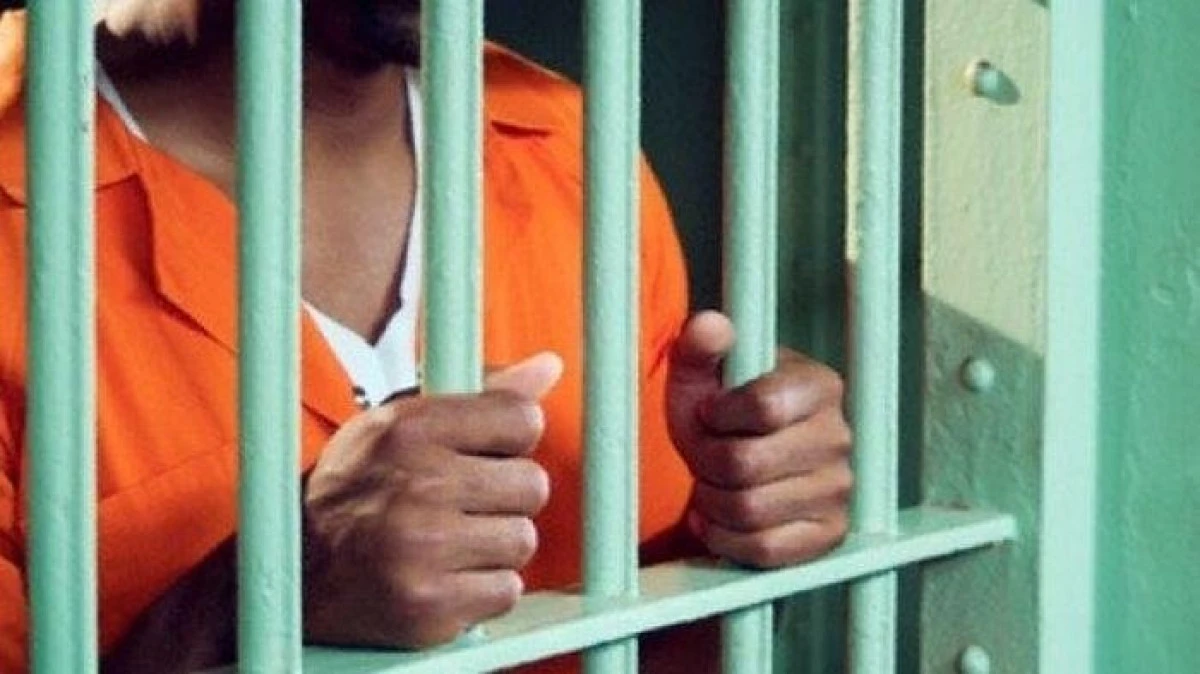 Bărbat din Pecica, încarcerat pentru furt