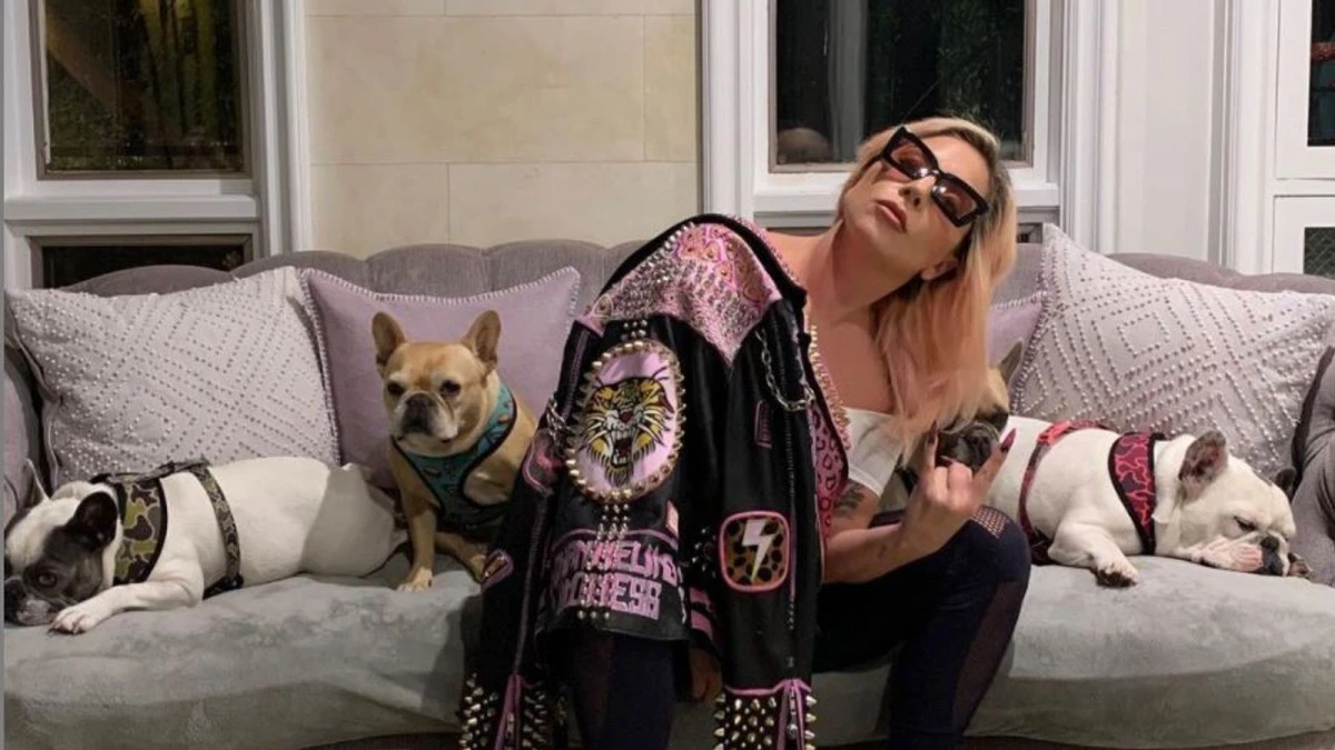 Bărbatul care a furat câinii lui Lady Gaga va petrece următorii 21 de ani după gratii