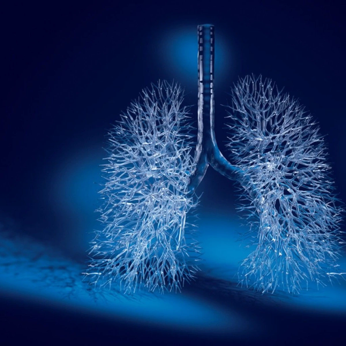 BĂUTURA CARE AJUTĂ LA DETOXIFIEREA PLĂMÂNILOR