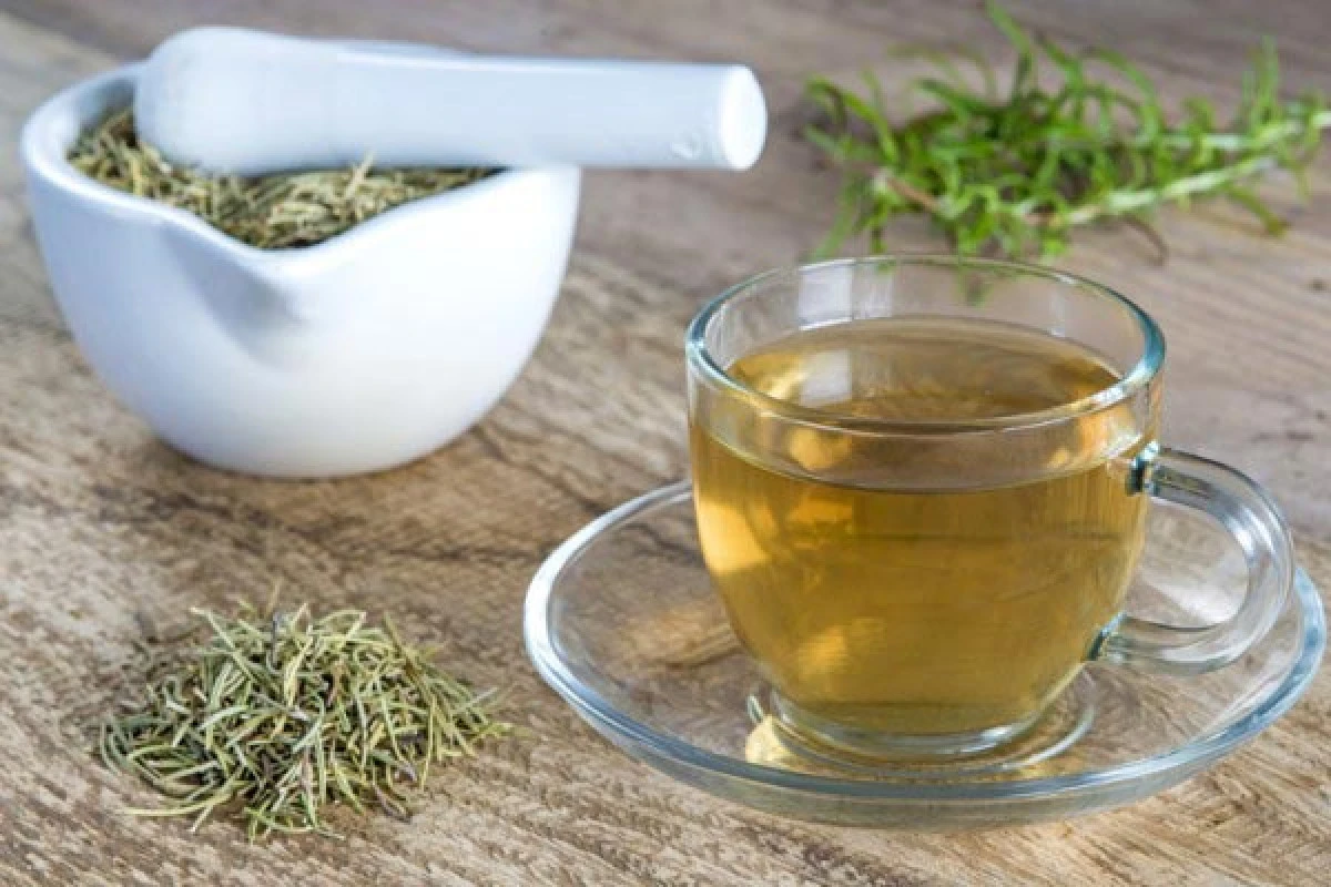 Beneficiile infuziei de rozmarin