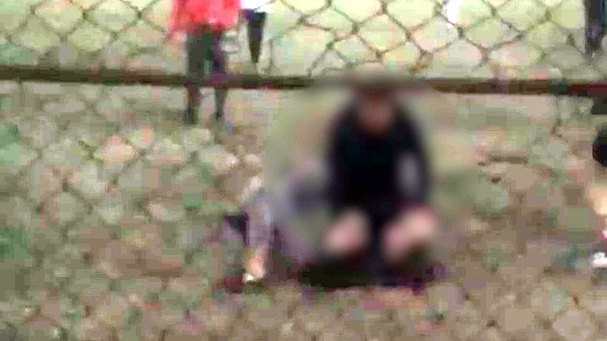Bestia care a băgat trei copii în spital pentru că l-au faultat pe fii-su, protejată de poliția Arad