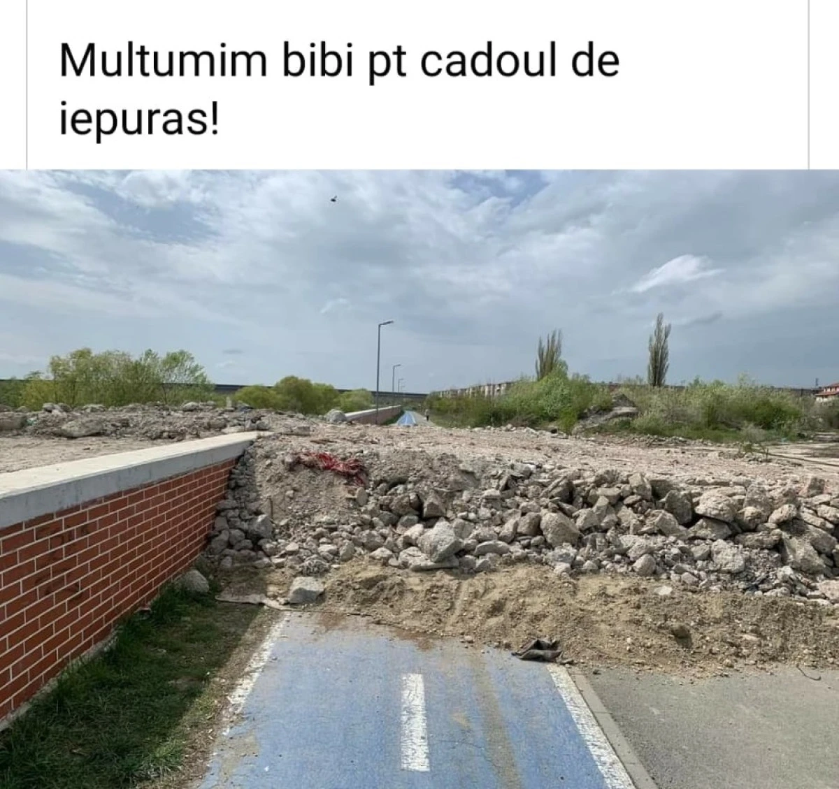 Bibarț distruge digul de pe Malul Mureșului - investiție din fonduri europene, de 2 milioane de euro, „marca PNL"