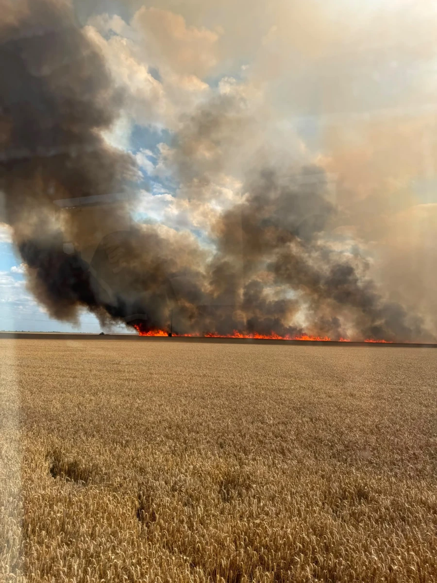 Bilanțul weekendului pentru ISU Arad: 81 de intervenții, incendii pe 50 de hectare și o victimă descarcerată pe A1