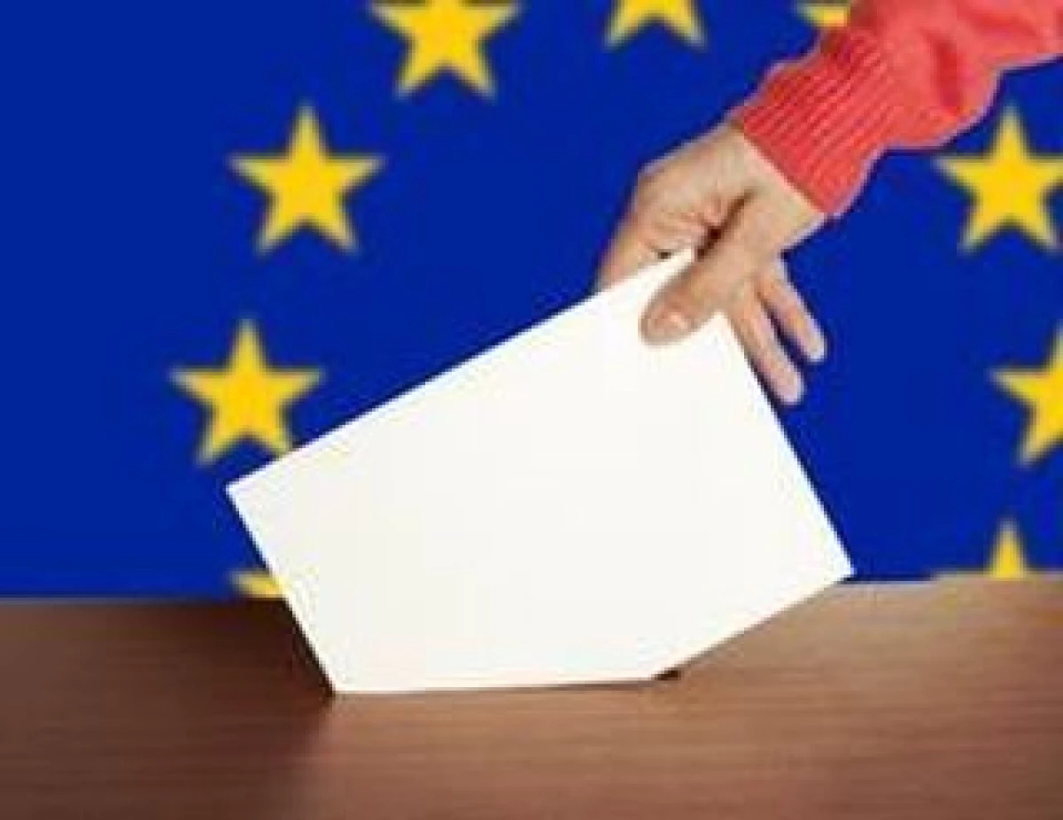 BIROUL ELECTORAL JUDETEAN ASTEAPTA LISTELE REPREZENTANTILOR PARTIDELOR POLITICE