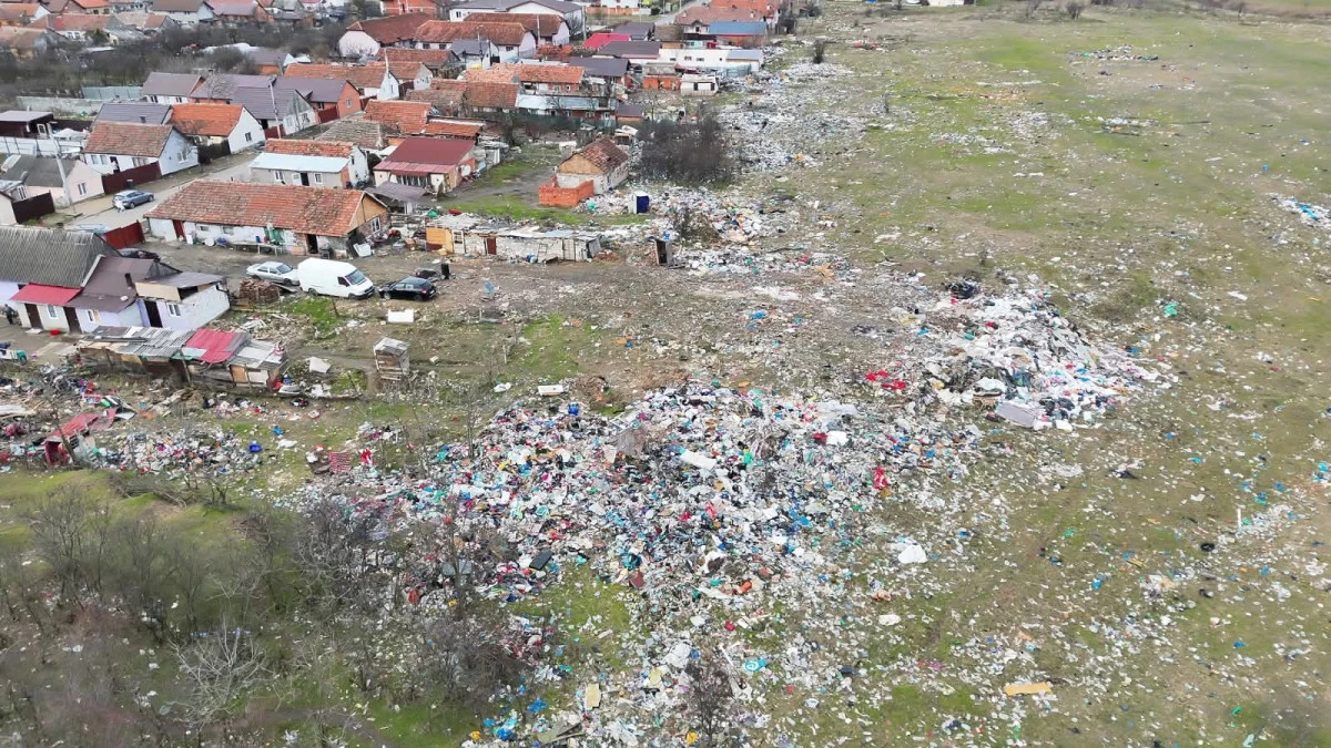Bombă ecologică pe 3,5 hectare în Arad. Garda de Mediu obligă Primăria să curețe zona Tarafului – Brândușei în 60 de zile