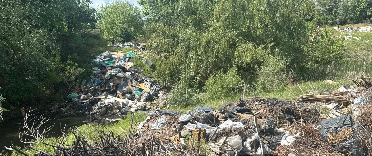 Bombă ecologică pe malul Mureșului, la Vladimirescu