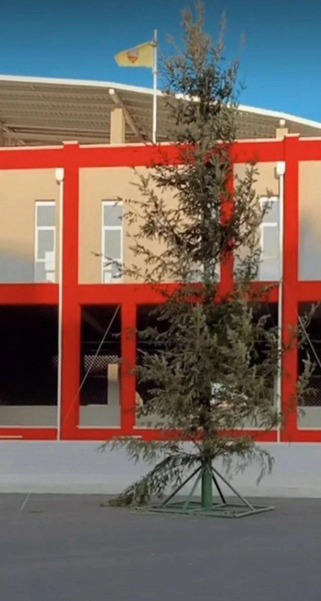Bradul lui Bibarţ a leşinat după rezultatul PNL Arad de la alegeri