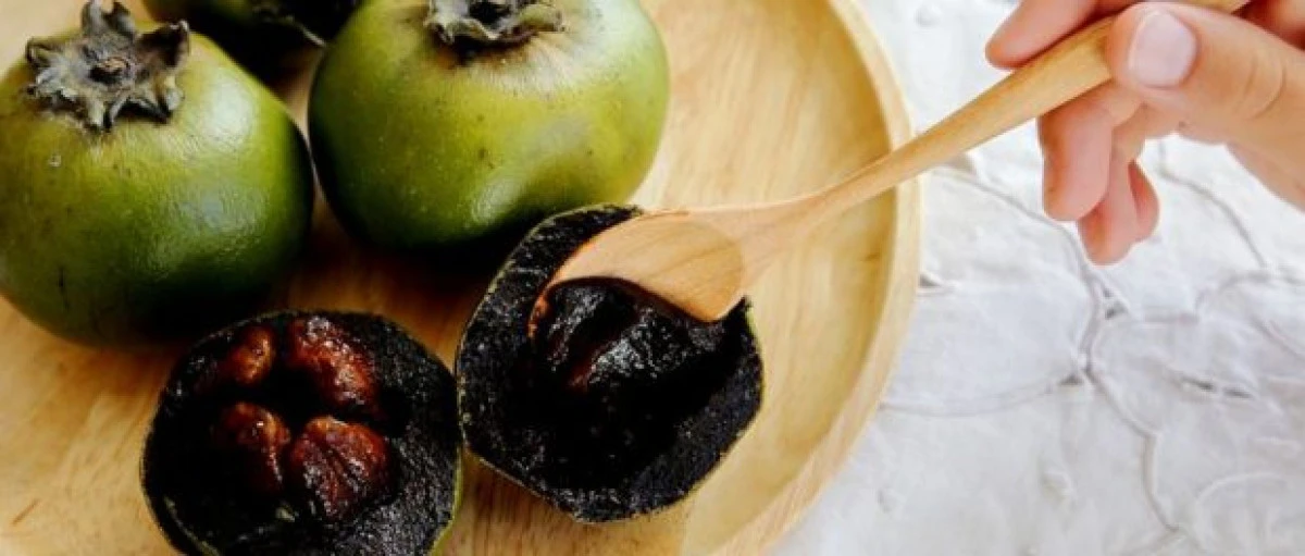 ”Budinca de ciocolată”, una dintre cele mai ciudate plante de pe Terra