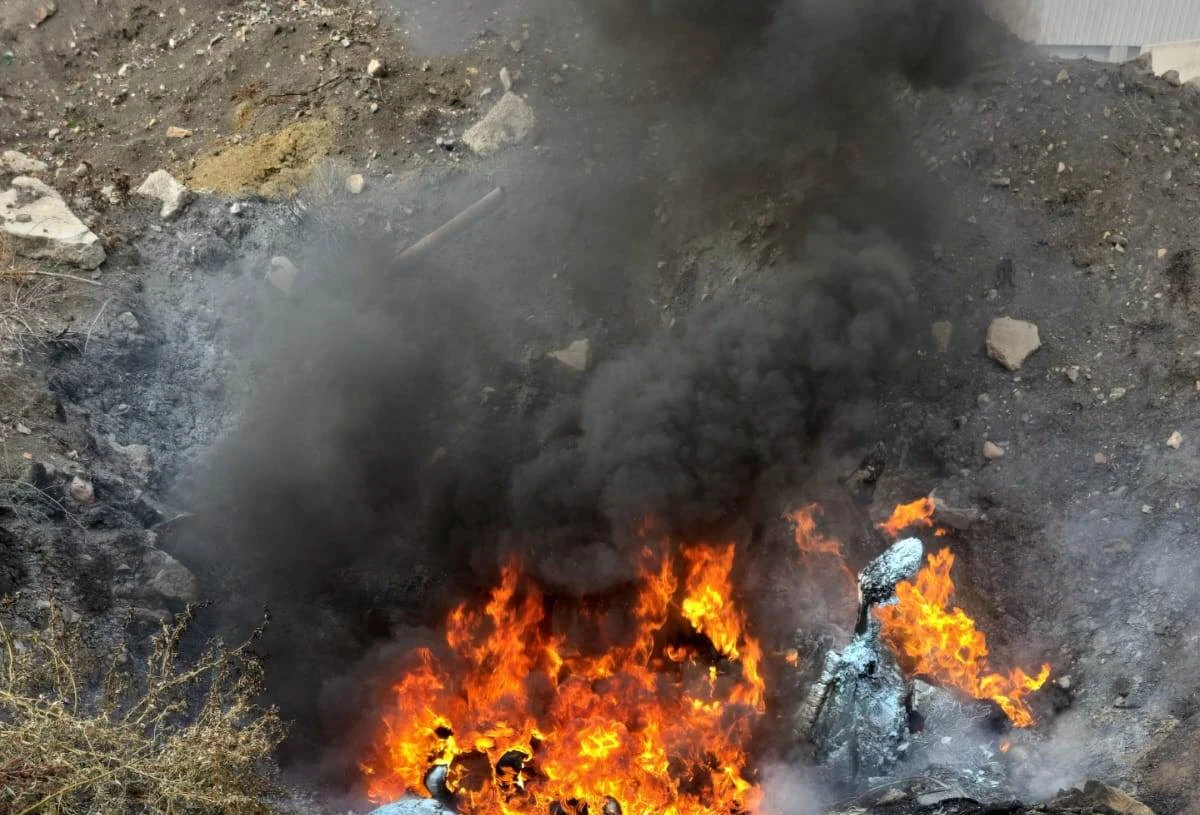 Cadavre de animale, incendiate lângă o fermă din Olari. Garda de Mediu Arad a sesizat organele de cercetare penală