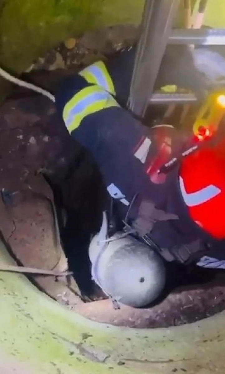 Câine salvat de pompieri dintr-o fântână, la Ususău