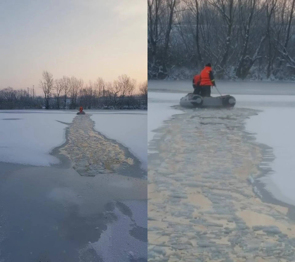 Câine salvat de pompierii arădeni din apa înghețată a bălții Ghilin