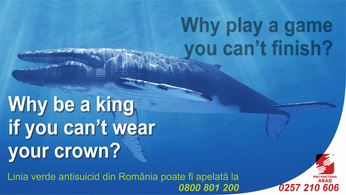 Campanie de informare a arădenilor privind riscurile jocului “Balena albastră”