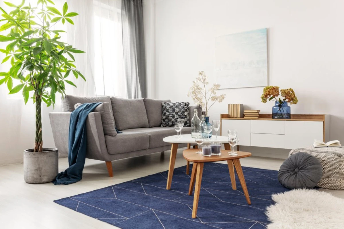 Canapele și fotolii – alegerea potrivită pentru casa ta, pentru un plus de relaxare