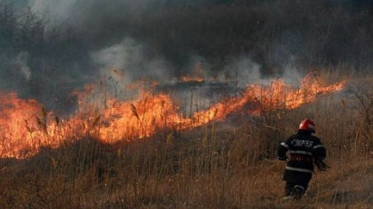 CANICULA DIN ULTIMUL WEEKEND A PUS PROBLEME POMPIERILOR ARADENI