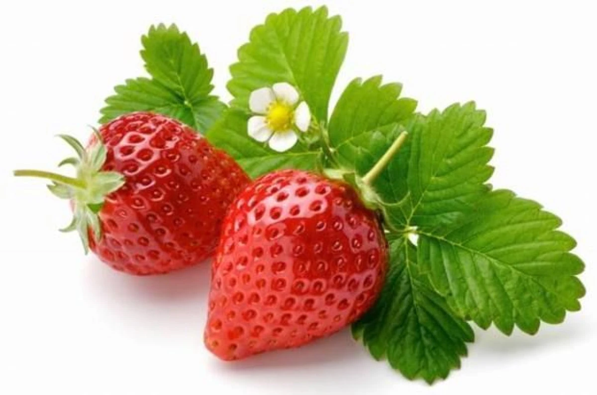 CĂPȘUNILE SUNT O SURSĂ IMPORTANTĂ DE VITAMINA C