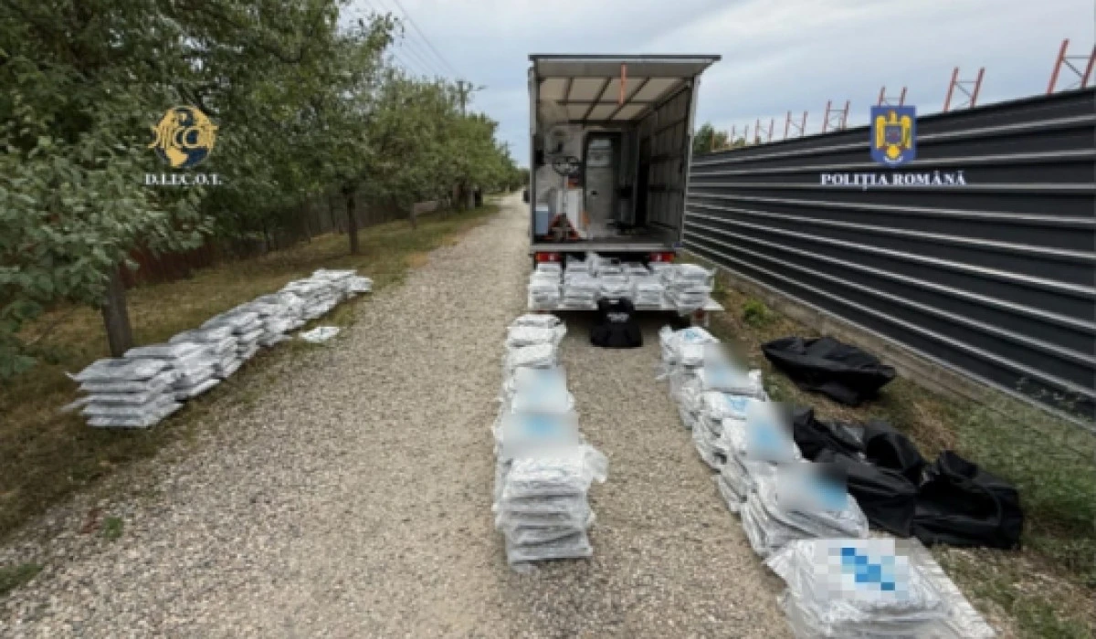 Captură impresionantă de droguri în județul Arad: 170 de kilograme de canabis și 5 kilograme de cocaină