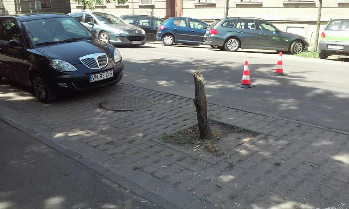 Case fără acoperiş, copaci căzuţi şi drumuri blocate – bilanţul parţial al vijeliei din judeţul Arad