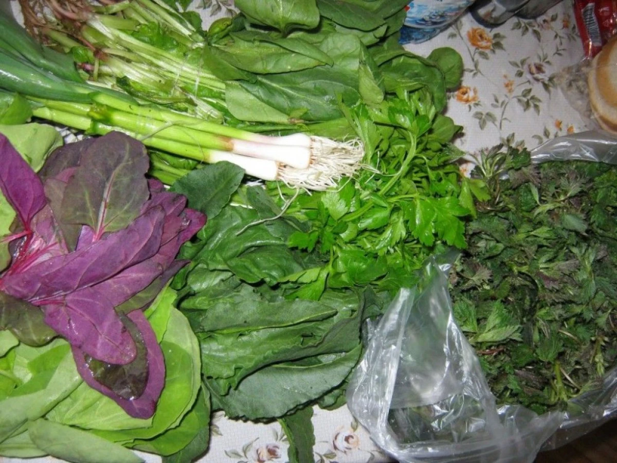 CATEVA LEGUME CARE VINDECA ORGANISMUL DUPA PERIOADA DE IARNA