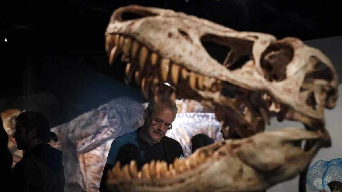 Cea mai nouă descoperire a cercetătorilor despre T. Rex