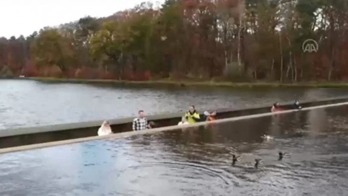 Cea mai spectaculoasă alee se află în Belgia și trece prin mijlocul unui lac