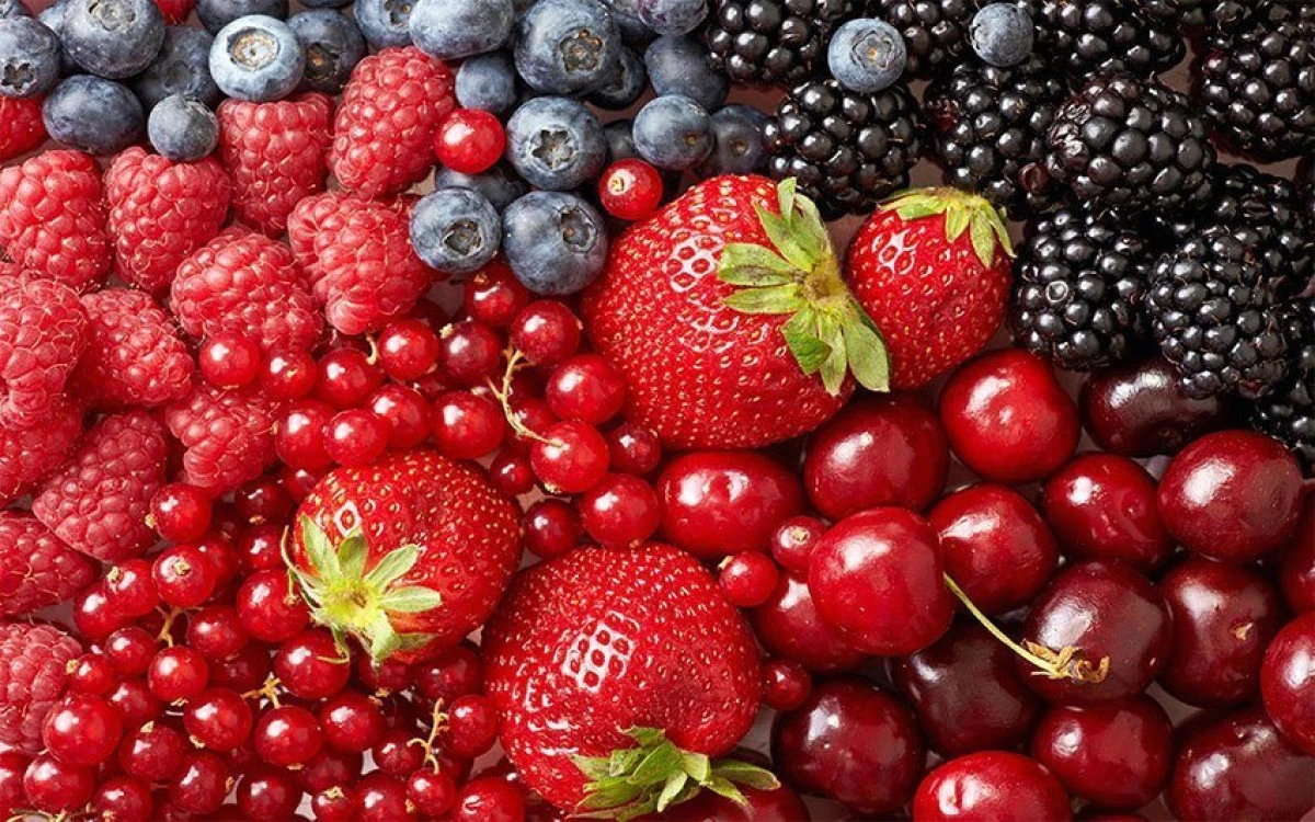 Cele mai bogate alimente în substanțe antioxidante