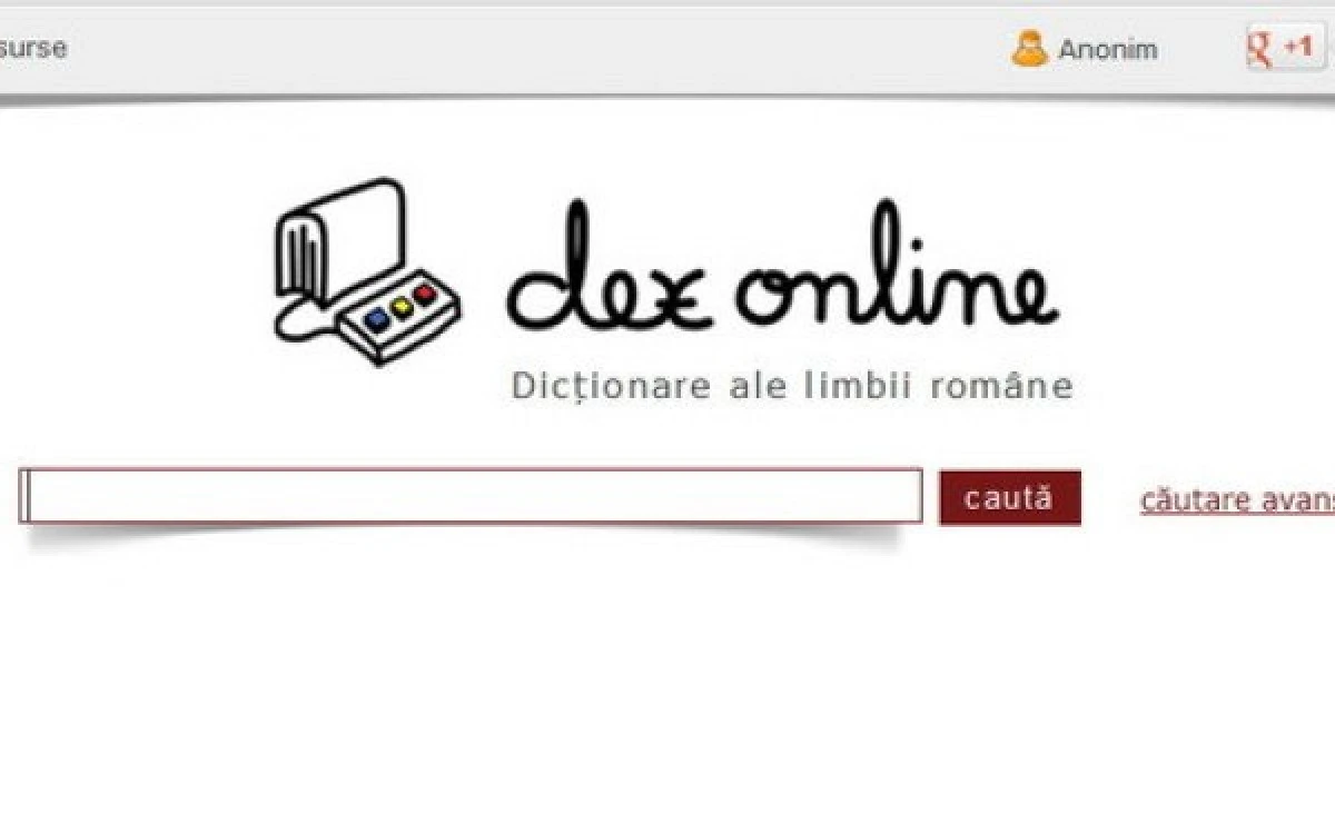 Cele mai căutate cuvinte în dexonline, în timpul simulărilor la examenele naționale