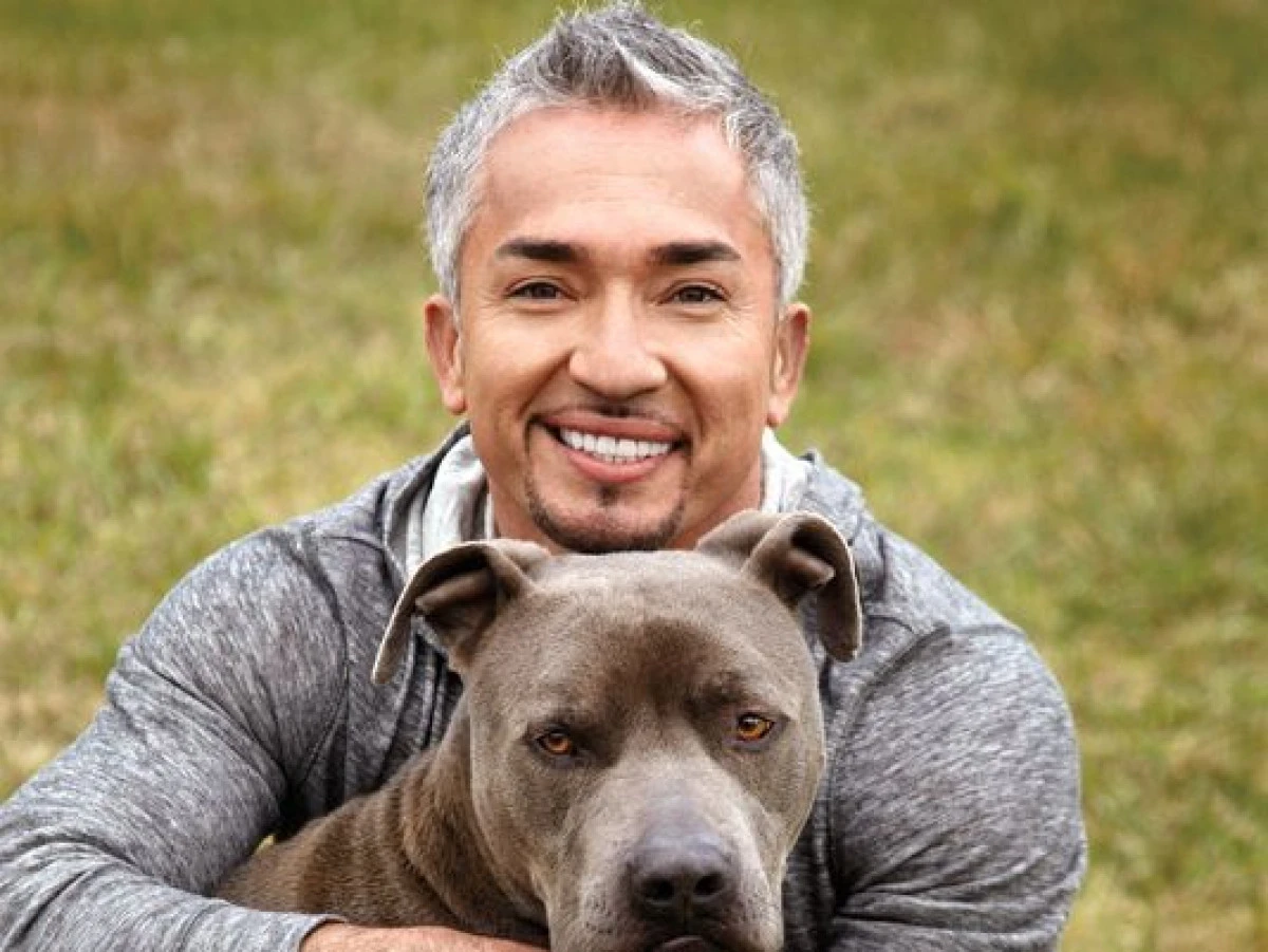 CELEBRUL DRESOR CESAR MILLAN ESTE ACUZAT DE ACTE DE CRUZIME FATA DE ANIMALE