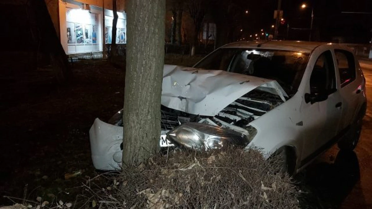 Cercetat penal, după ce s-a lovit de un... pom