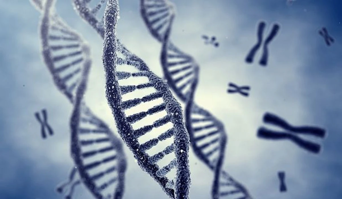 CERCETATORII AU DESCOPERIT CUM POT MODIFICA GENOMUL UNUI ORGANISM. IMPLICATIILE AR PUTEA FI MAJORE