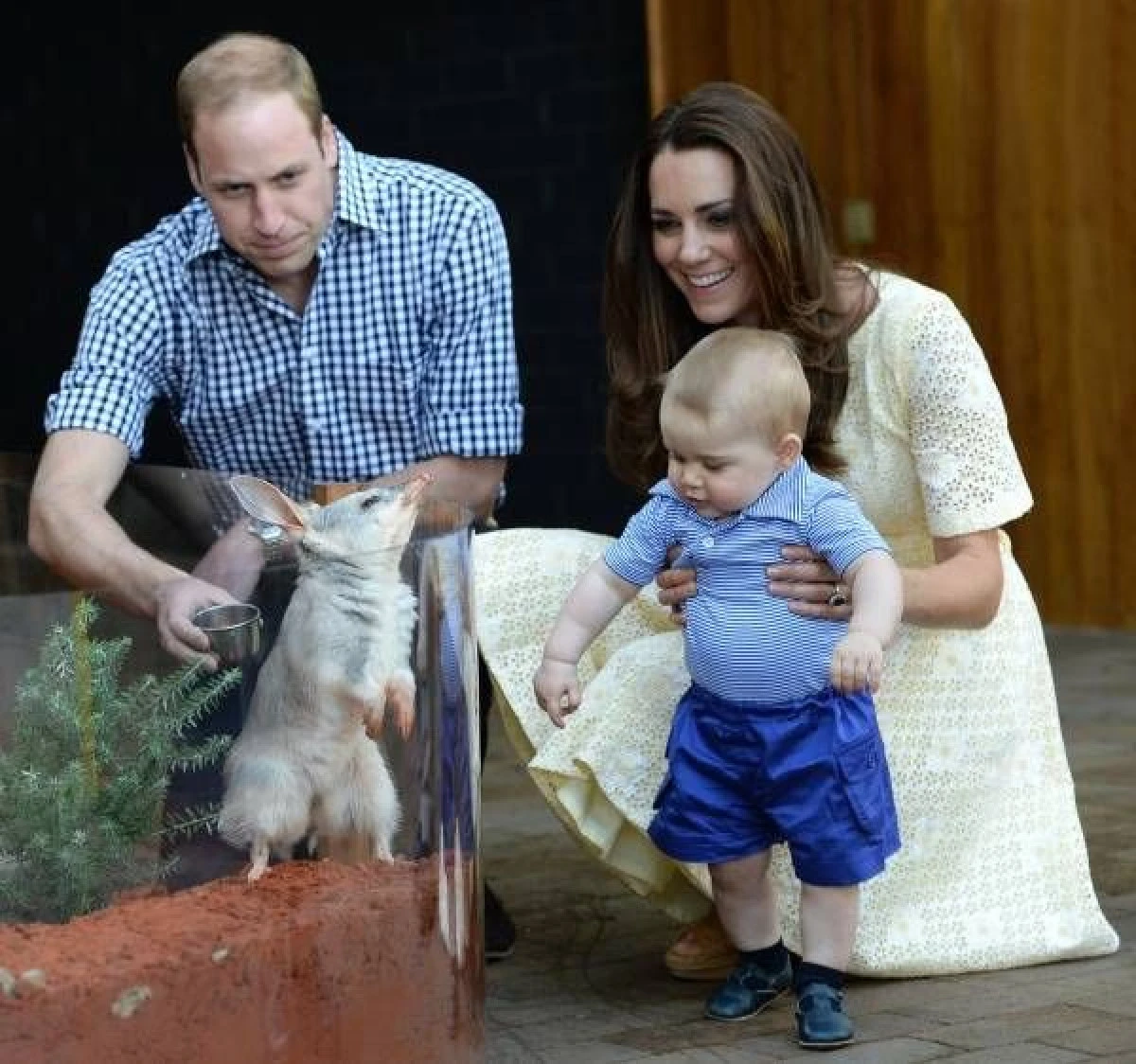 CERCETATORII BRITANICI AU STABILIT CUM VA ARATA PRINTUL GEORGE LA VARSTA ADULTA