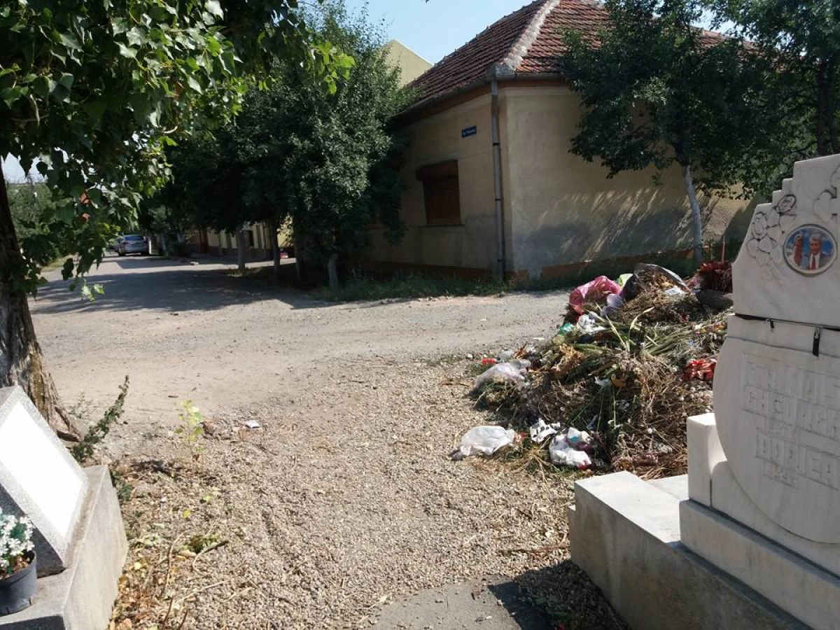 Cimitirul din Micălaca vrea să iasă în stradă. Falcă nu se opune!