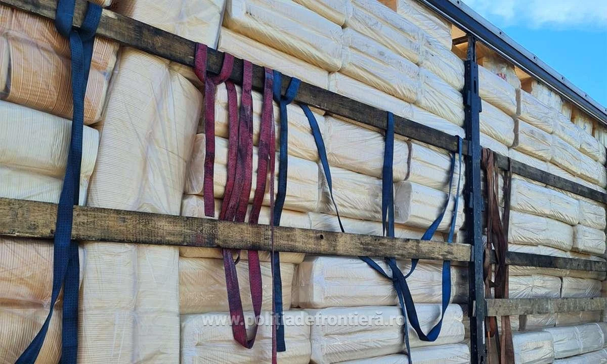 Cincizeci și unu de cetăţeni străini, depistaţi ascunşi de către polițiștii de frontieră arădeni