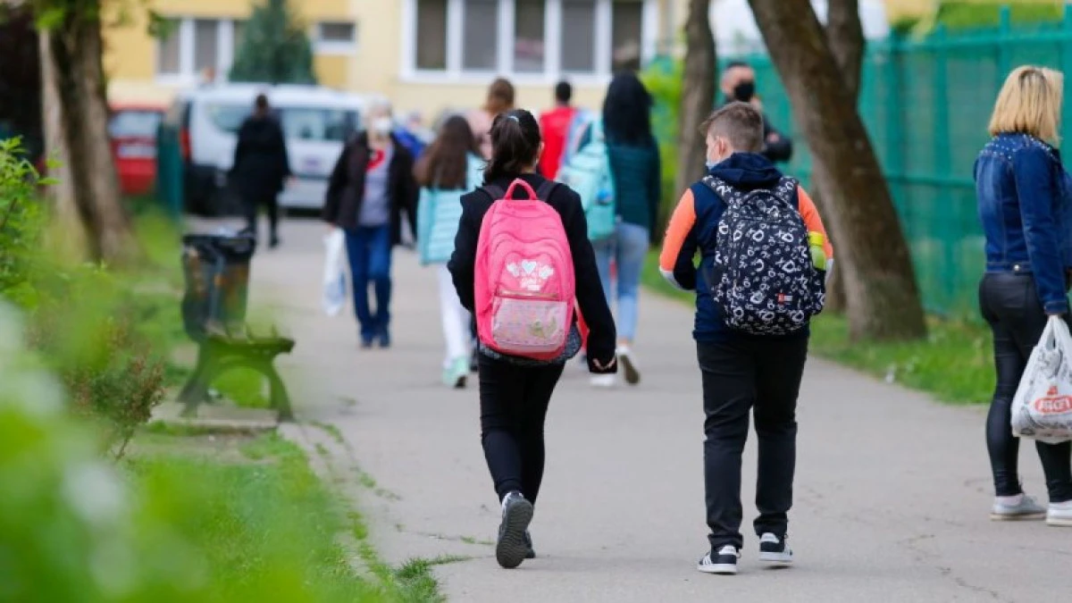 Circa 200 de elevi ucraineni refugiaţi participă la cursuri în şcoli din judeţul Arad