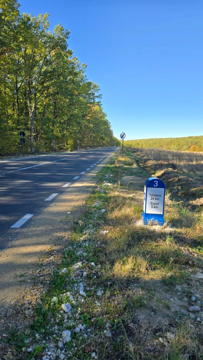 CJA finalizează modernizarea drumului Pâncota–Târnova–Buteni