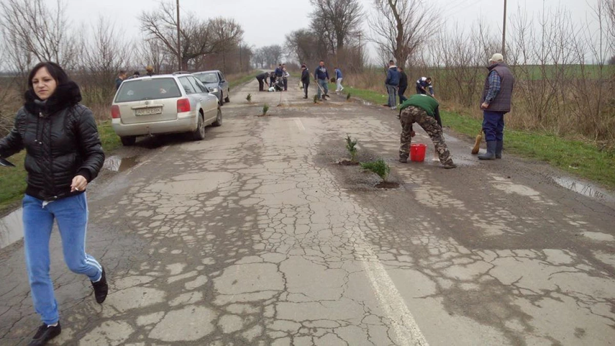 CJA ISI BATE JOC DE SOFERI. ARADENII NEMULTUMITI AU PLANTAT COPACI IN GROPILE DE PE DJ 709 B