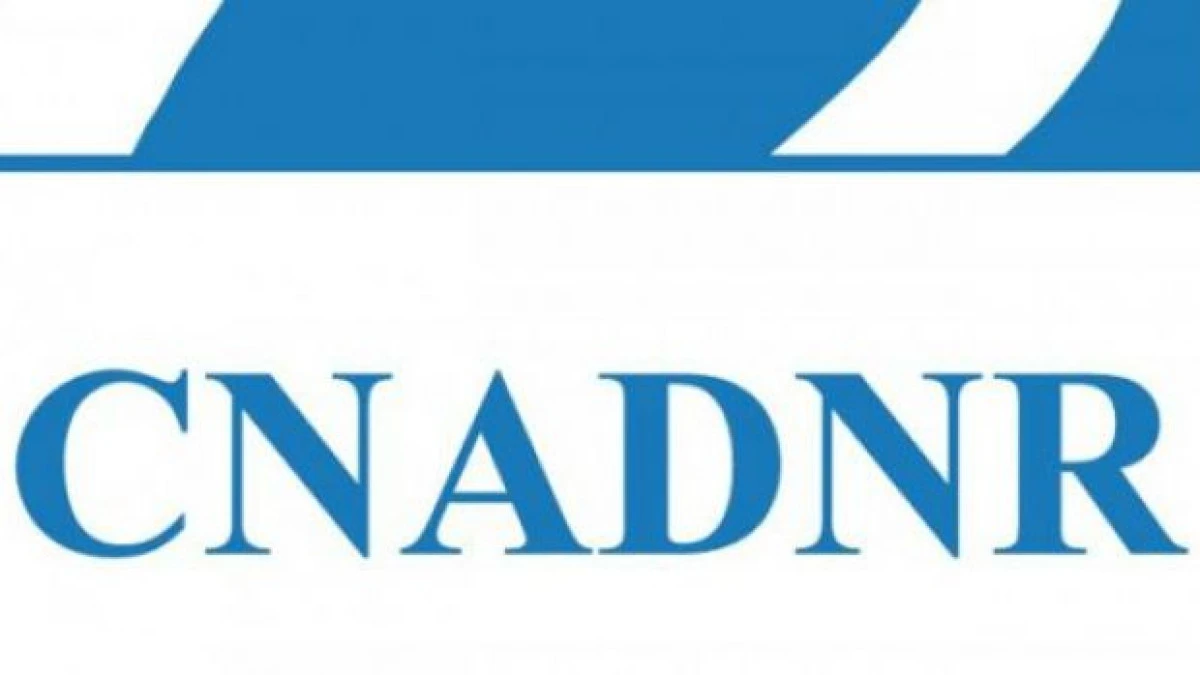 CNADNR VA PLATI DAUNE DE UN MILION DE EURO UNEI TINERE