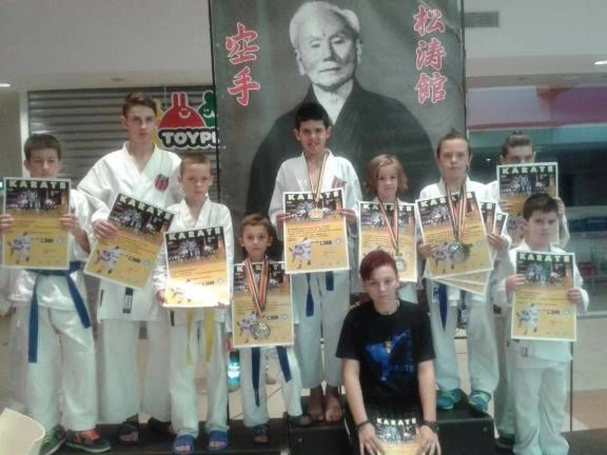 COLECȚII DE MEDALII PENTRU BUSHIDO VLADIMIRESCU