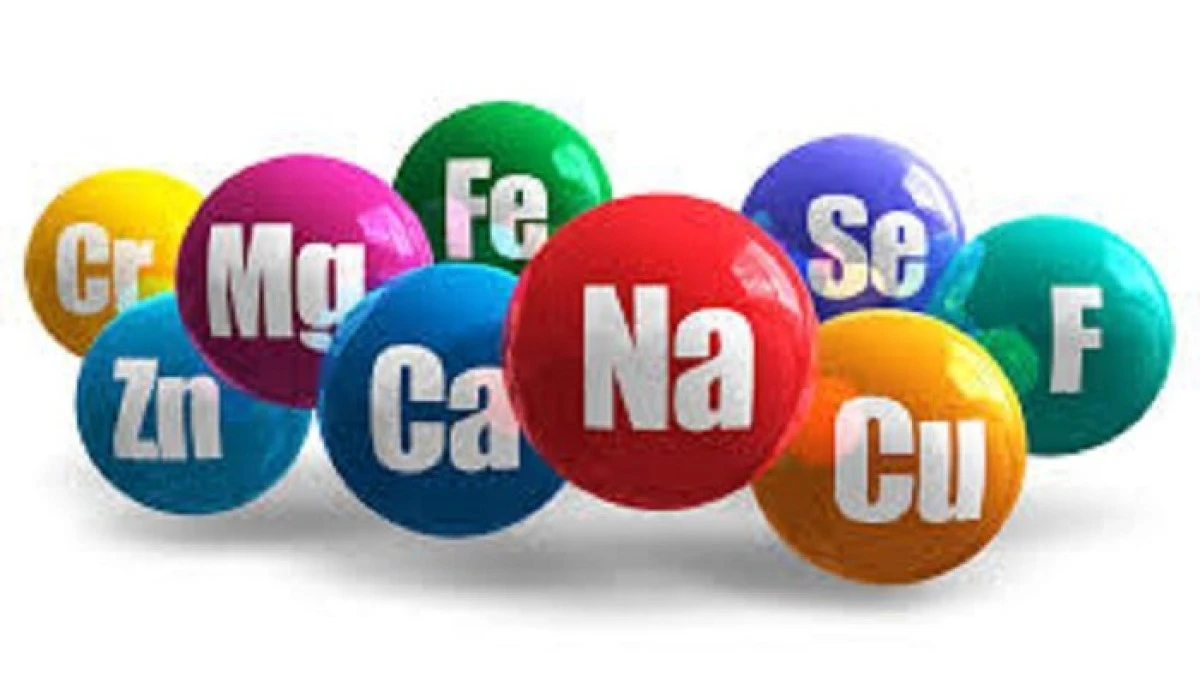 Combinații de minerale și vitamine utile organismului
