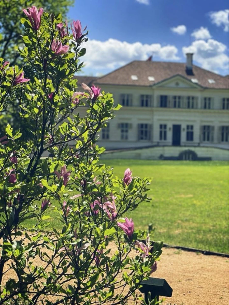 Comemorare la Săvârşin, la opt ani de la decesul Reginei Ana