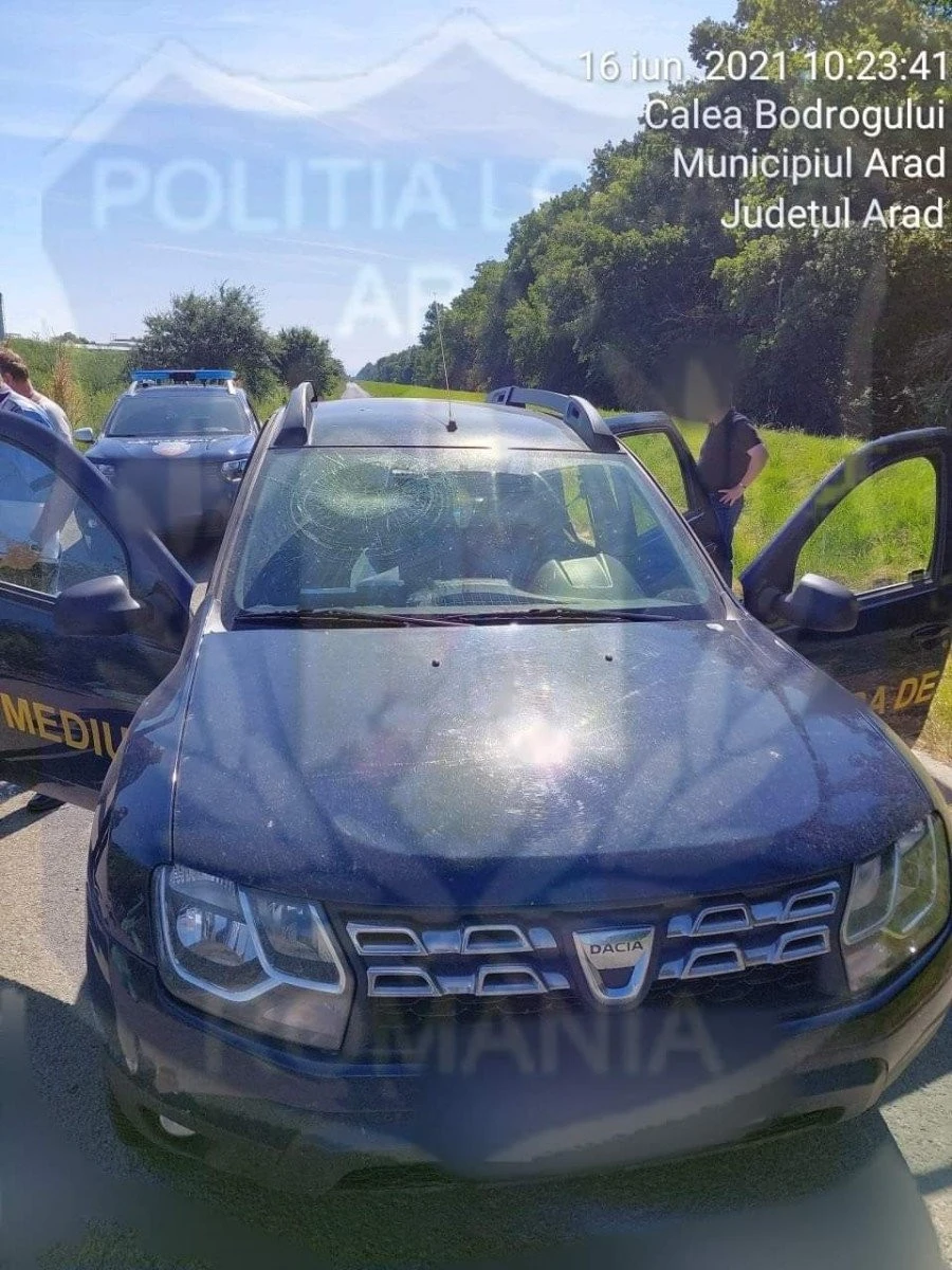 Comisari de mediu din Arad, atacaţi cu o sticlă, care le-a avariat maşina de serviciu