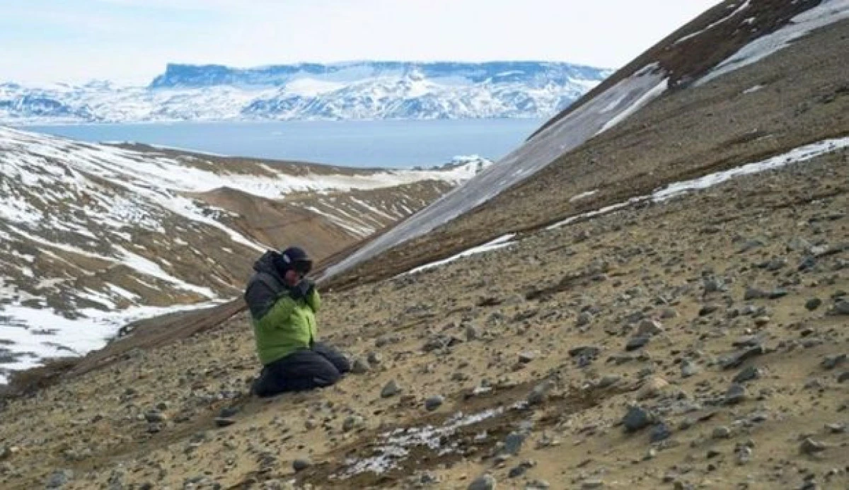 COMOARĂ ȘTIINȚIFICĂ, DESCOPERITĂ ÎN ANTARCTICA