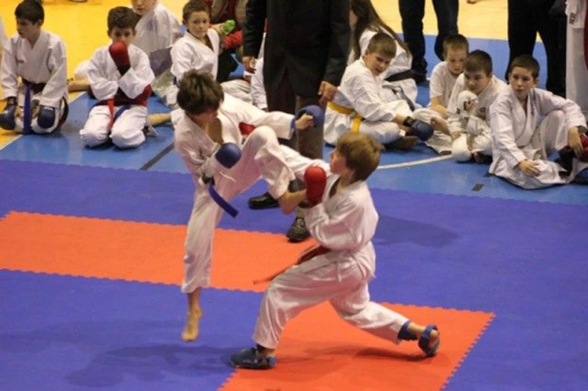 COMPETITII DE KARATE SI VOLEI IN WEEK-END-UL SPORTIV ARADEAN