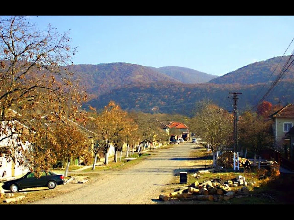 Concurs de infracțiuni la Gurahonț